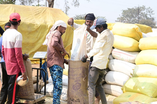 धान खरीदी महाभियान से किसानों में हर्ष, 283 करोड़ का धान खरीदा गया