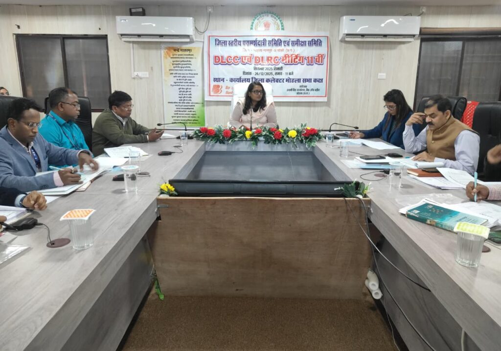 शिक्षा ऋण प्रकरणों में तेजी लाने कलेक्टर ने बैंकों को दिए सख्त निर्देश