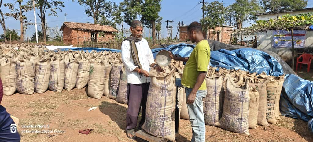 धान खरीदी अभियान जोर पर : किसानों में खुशी, केंद्रों पर बढ़ी रौनक