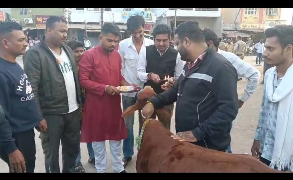 गाय पर भेदभाव भाजपा की सोच, गोधन न्याय योजना बंद कर किया अपमान