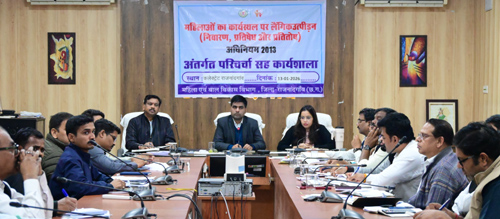 कलेक्टर ने शासकीय एवं निजी संस्थाओं में आंतरिक शिकायत समिति गठन के निर्देश दिए