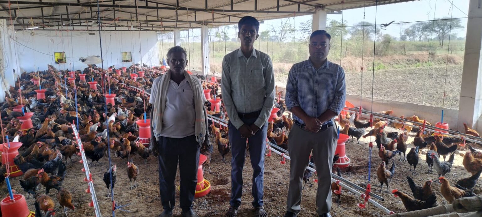 मुर्गी पालन से बेरोजगारी को दी मात, ग्रामीण युवक बना स्वरोजगार का प्रेरक उदाहरण