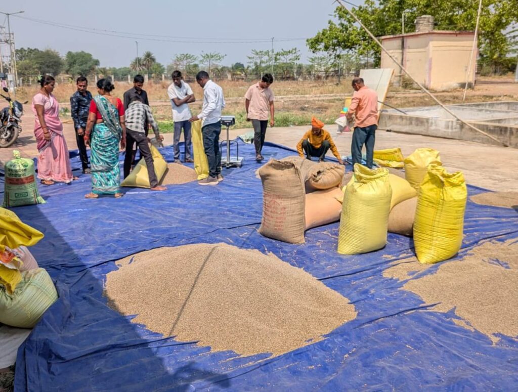 राजनांदगांव में पीएम-आशा योजना के तहत दलहन-तिलहन की समर्थन मूल्य पर खरीदी जारी